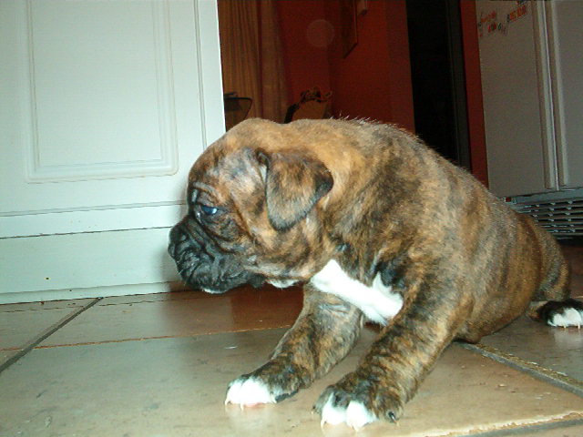 max at 4 weeks