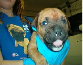 Max at 4 wks