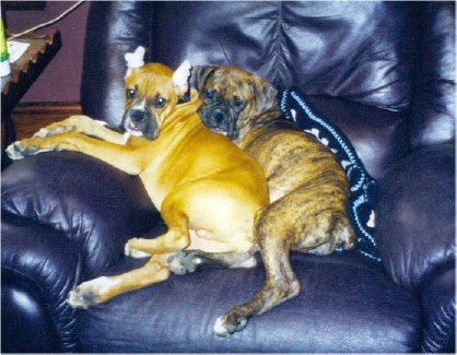 Max & Dakota snugglin