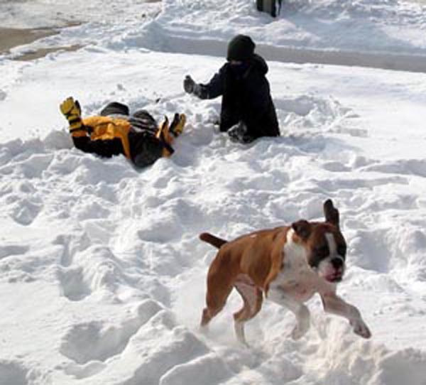 Max flies over the snow