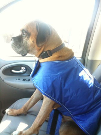 Max in the Trailblazer