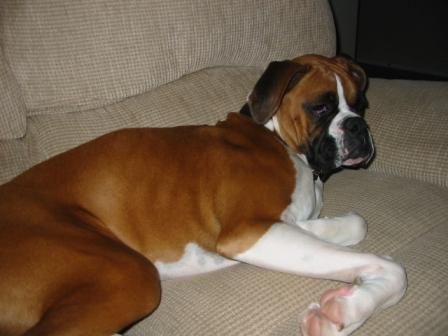 Max Kicking Back