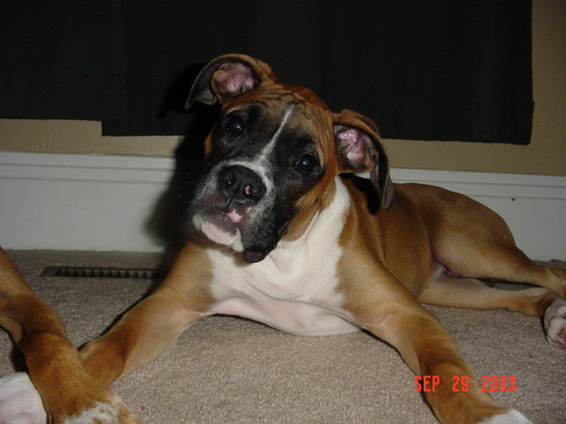 Max...my baby!
