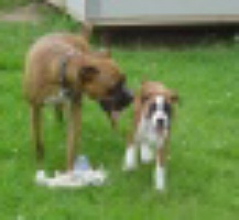 max n lucy