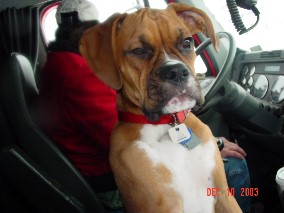 Max on the job