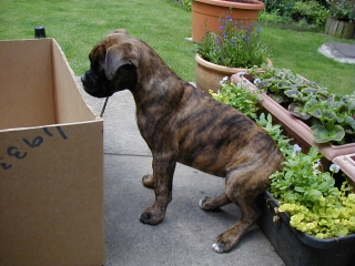 Max takes a seat!