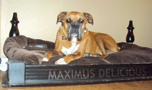 Max & Throne