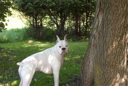 Max