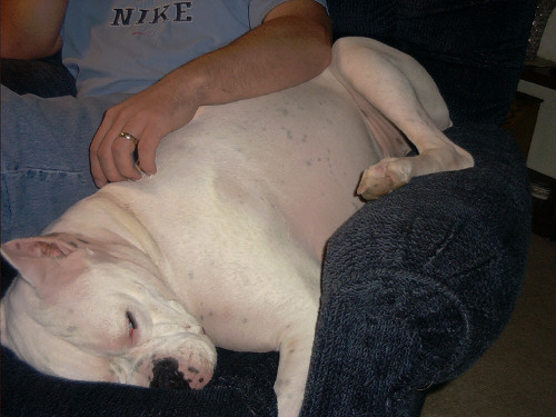 Max