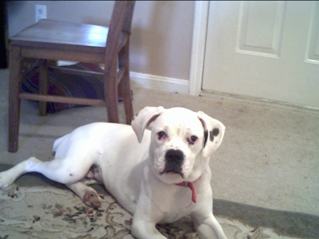 Max