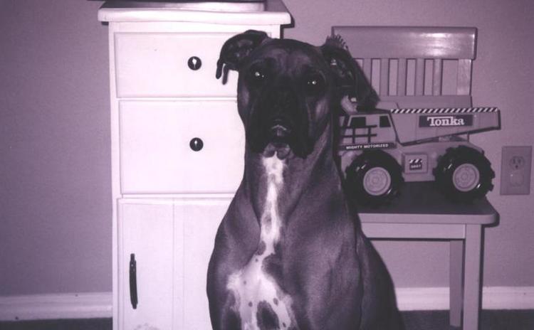 max