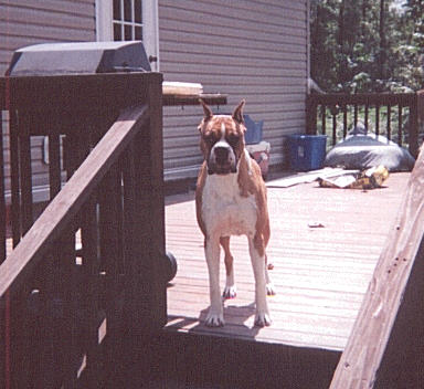 Max