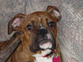 Max