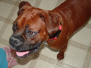 max