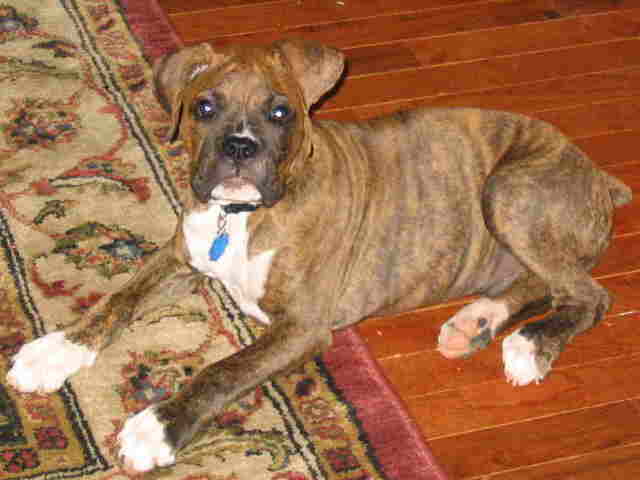 Max