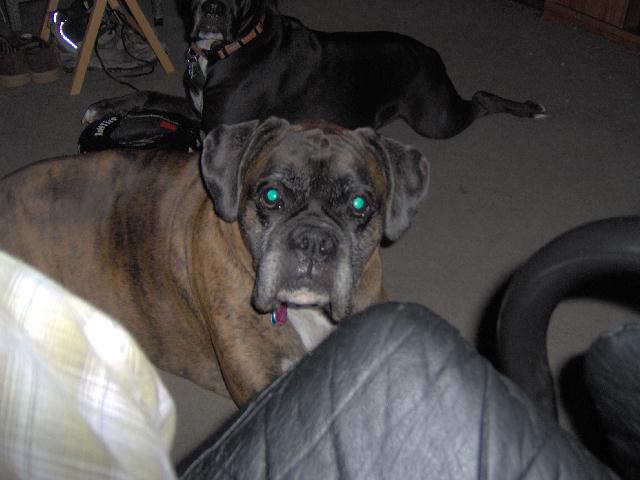 max