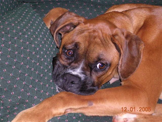 max