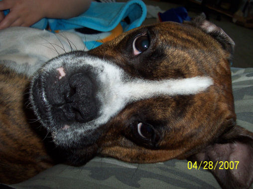 max
