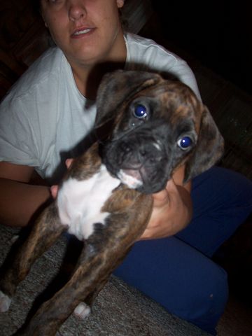Max_7_weeks