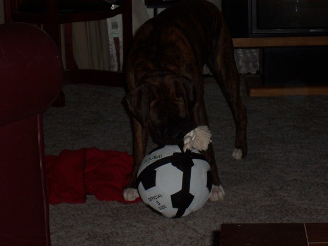 Max_9mos