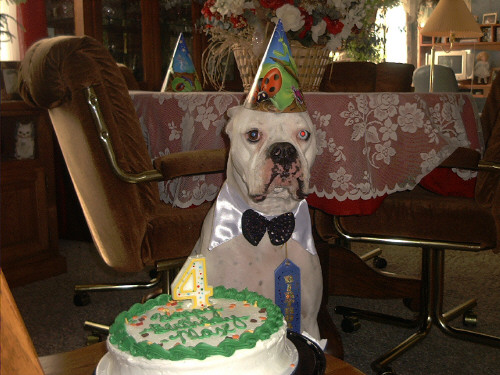 Maxes 4th B-day