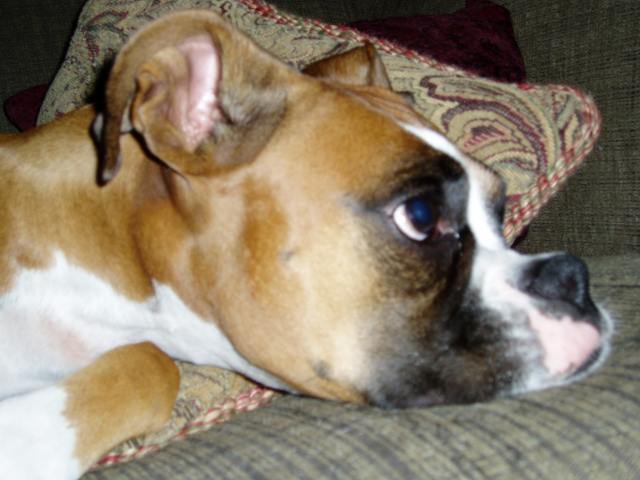 Maxi's Profile