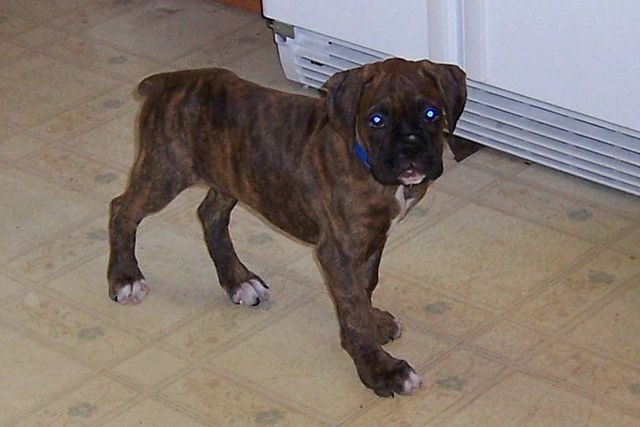 Max's first day