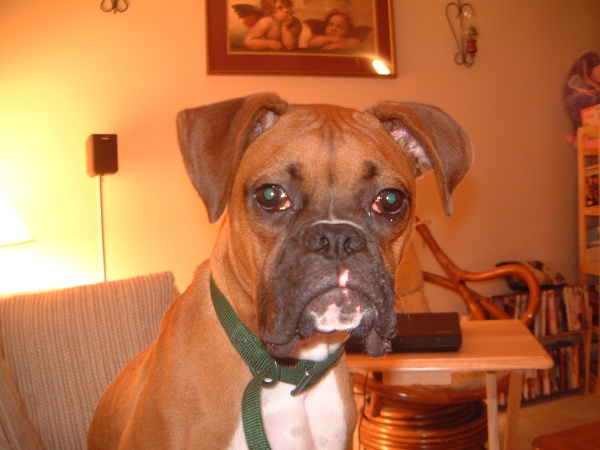 MaXX @ home