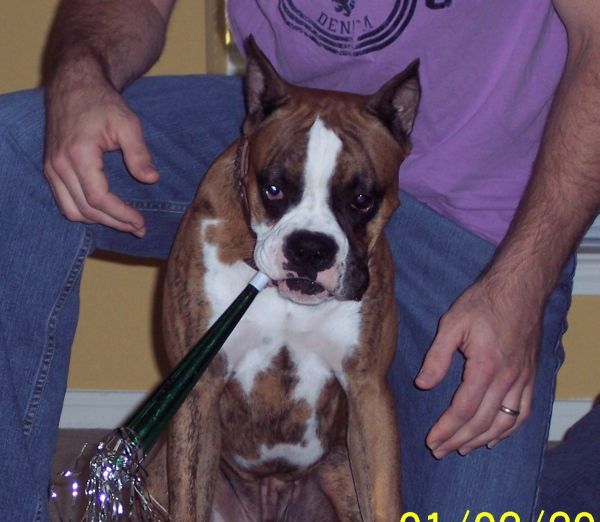 Maxx's 1st birthday