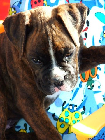 May I could be a "Model"............