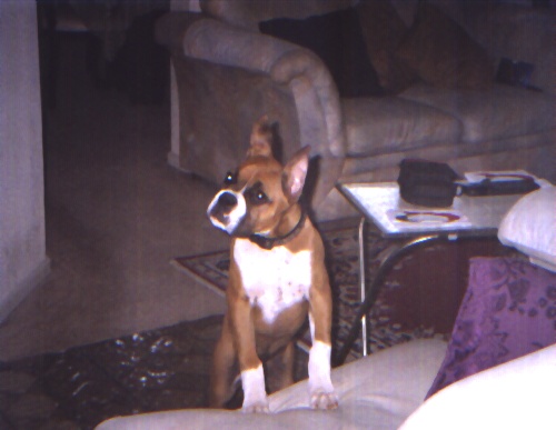 May23005