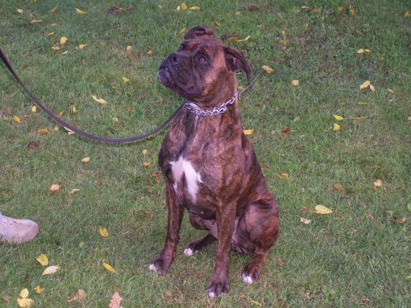 Maya at 20 months