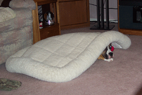 Maybe they won't look under here!