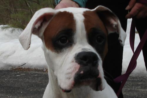 Mayhem, our new girl :)