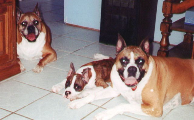 Mazey, Gretchen and Loki