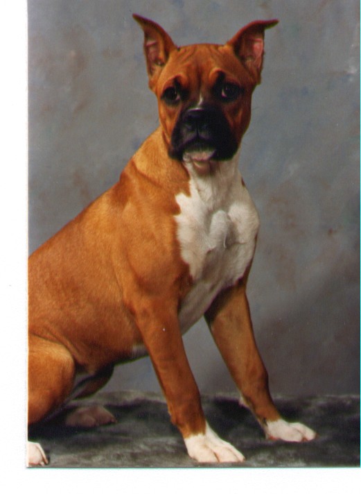 Mazey sitting pretty