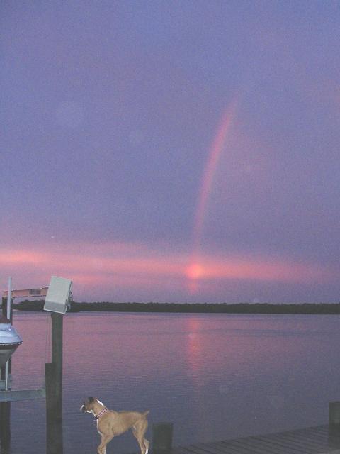 Mazzy's Rainbow