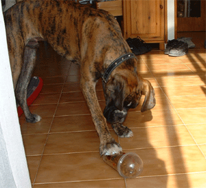 "Mc (kibble)-shaker"!