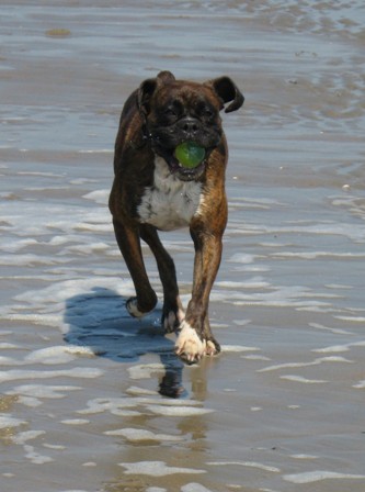 Me and my ball - it never gets old