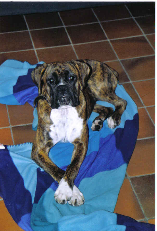 Me and my blanky