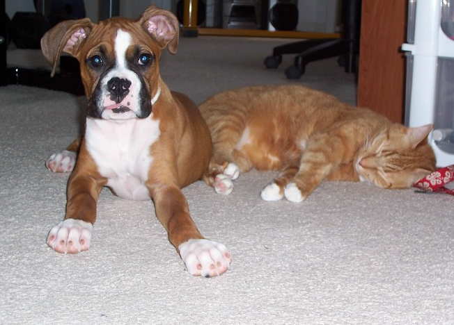 Me and my buddy Milo!!