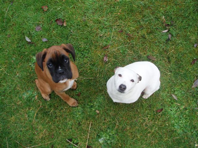 Me and my pal Tilly.
