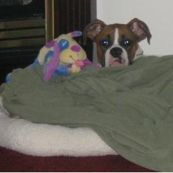 Me and my snuggle buddy