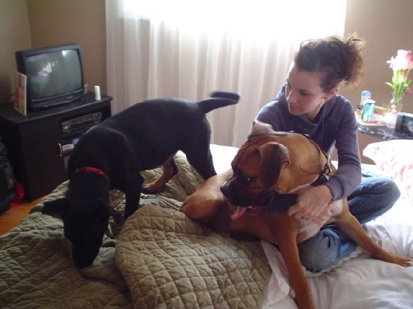 Me, Buford and our new pup Senna