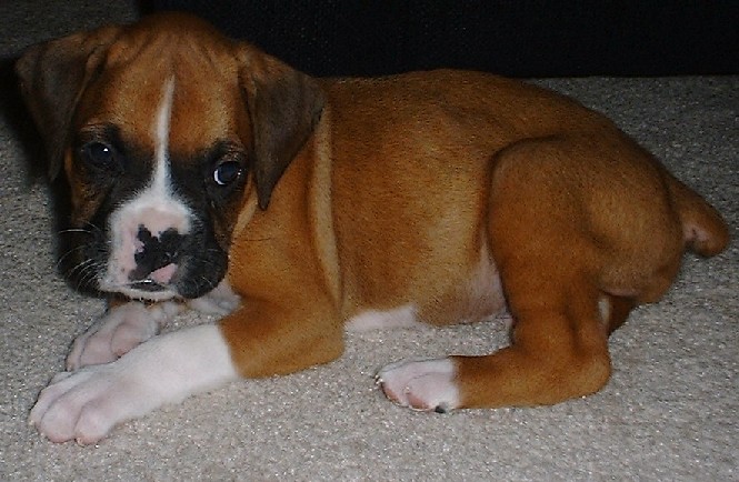 ME? CUTE? NOWAY!