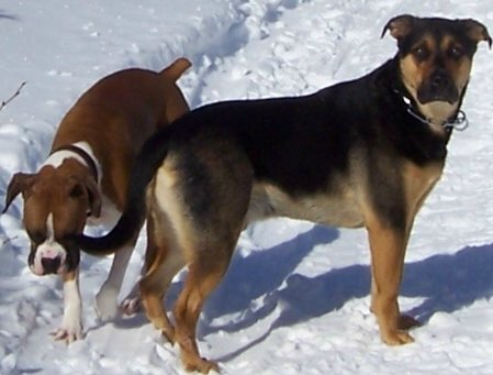 Me_and_my_buddy