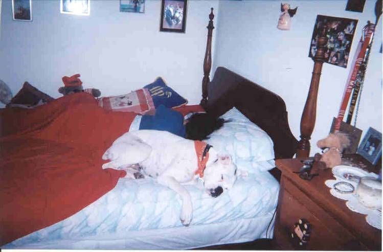 Me_Charlie_Paper_Sleeping