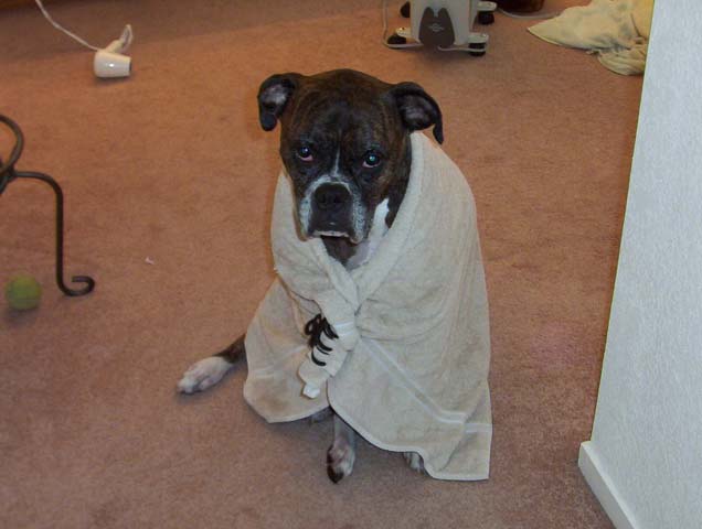 Mean look after a bath!