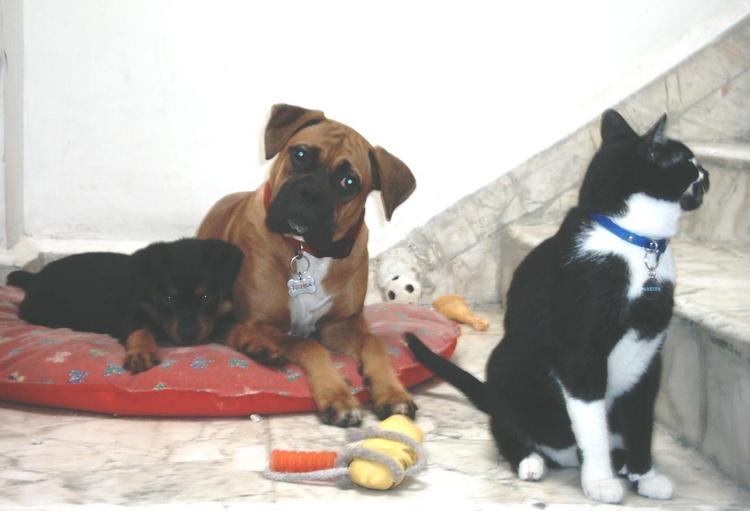 Meet my family