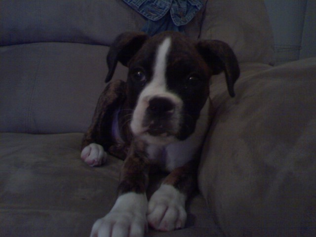 Meet Mya